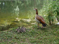 Elternzeit!-P1790671T