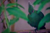 Vogelpark Eckenhagen