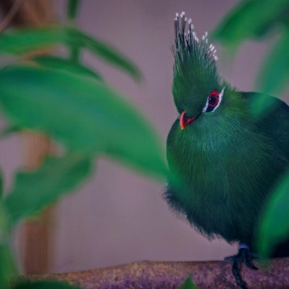 Vogelpark Eckenhagen