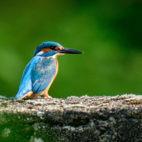 53760792863c5321a27 o