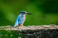 53760792863c5321a27 o