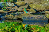 dsc07663 dsc07663