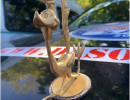 roadrunner