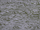Regen