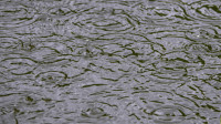 Regen