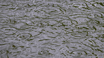 Regen