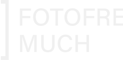 2024 11 v7w logo fotofreunde hell mit text