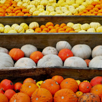 Die Farben des Herbstes