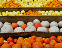 Die Farben des Herbstes