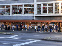 Wenn Vielfalt auf den Hund kommt