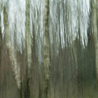 Wald6 Gabi Wald6 Gabi