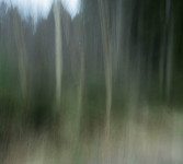 Wald9 Gabi Wald9 Gabi