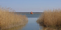 Durchblick