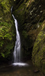 Naturdusche Naturdusche