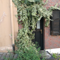 Außergewöhnliches im Alltäglichen entdecken