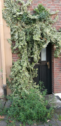 Außergewöhnliches im Alltäglichen entdecken