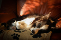 Zeit zum tr&auml;umen