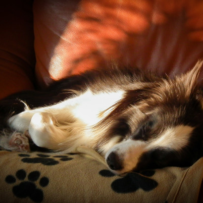 Zeit zum tr&auml;umen