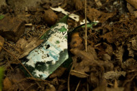 Weinflasche2_zerbrochen