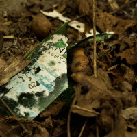 Weinflasche2_zerbrochen